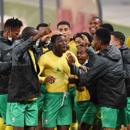 South Africa vs Guinea Match Analysis and Prediction