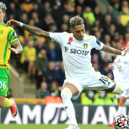 Leeds United vs Norwich City Match Analysis and Prediction