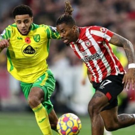 Norwich vs Brentford Match Analysis and Predictions