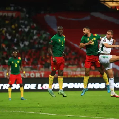 Algeria vs Cameroon Match Analysis and Prediction