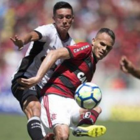 Botafogo vs. America Mineiro Match Analysis and Prediction
