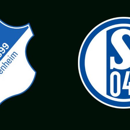 Hoffenheim vs Schalke 04 Match Analysis and Prediction